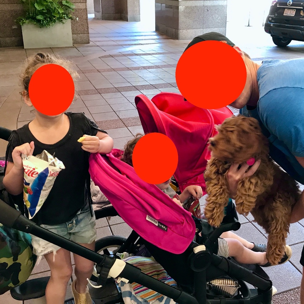 COPY - Bugaboo Donkey 2 Sun Canopy